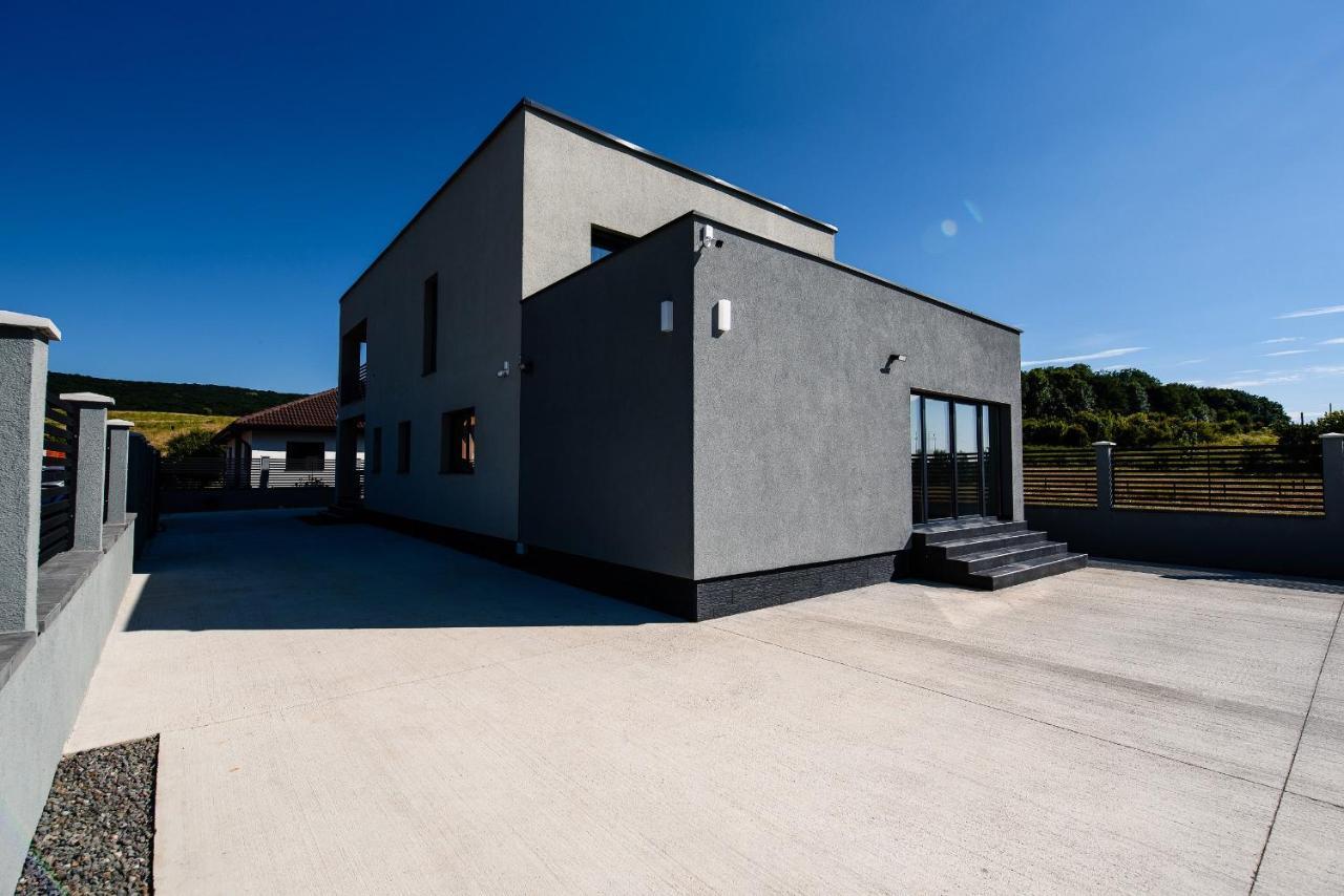 Concept Villa Livezeni  Extérieur photo