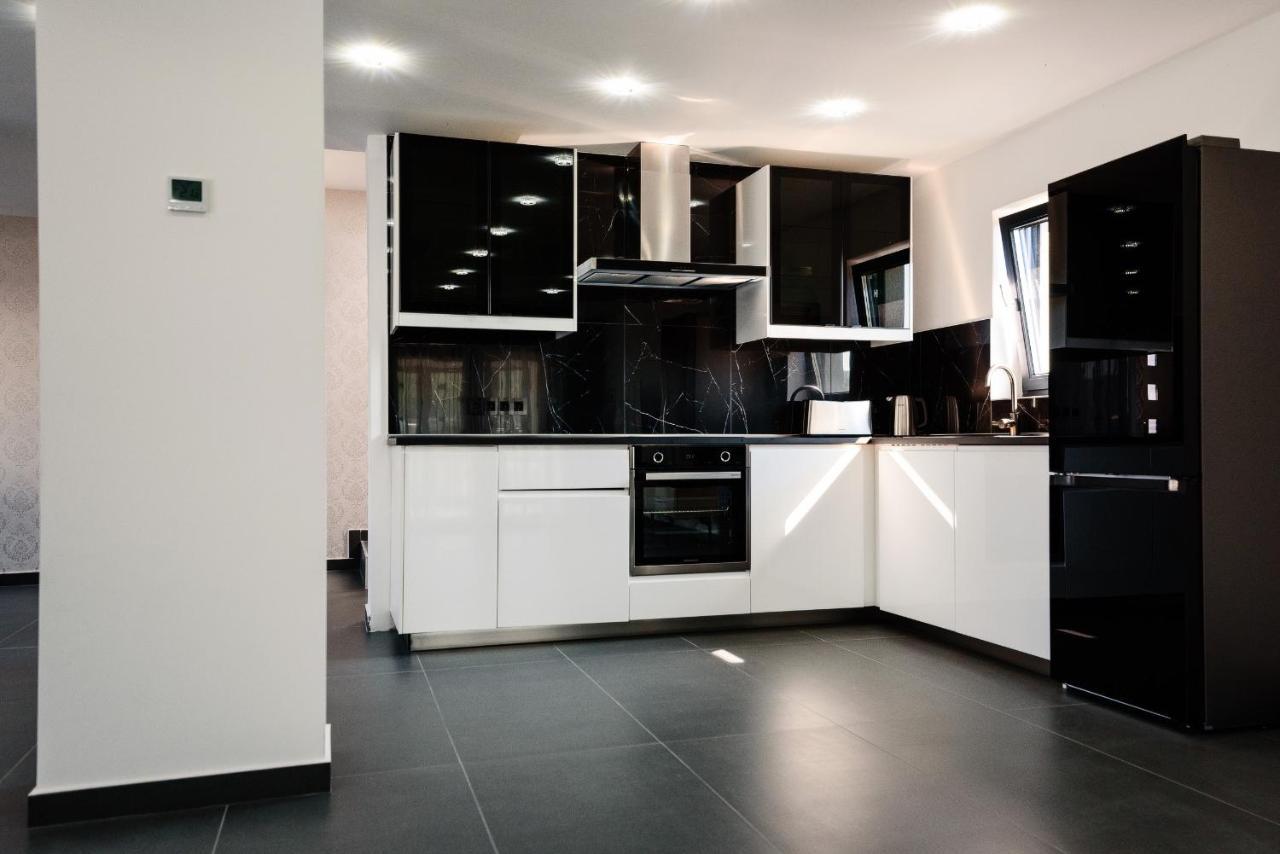 Concept Villa Livezeni  Extérieur photo